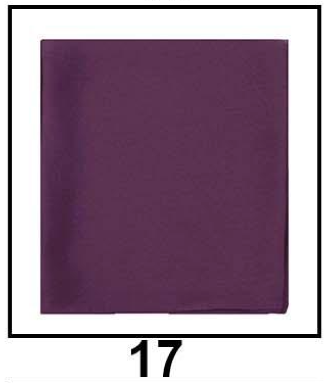 JanJan Premium Silk Hijab