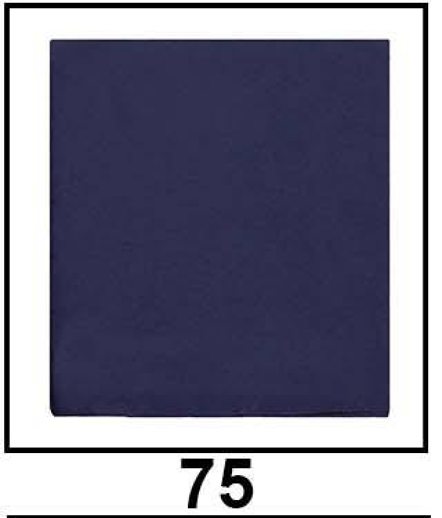 JanJan Premium Silk Hijab