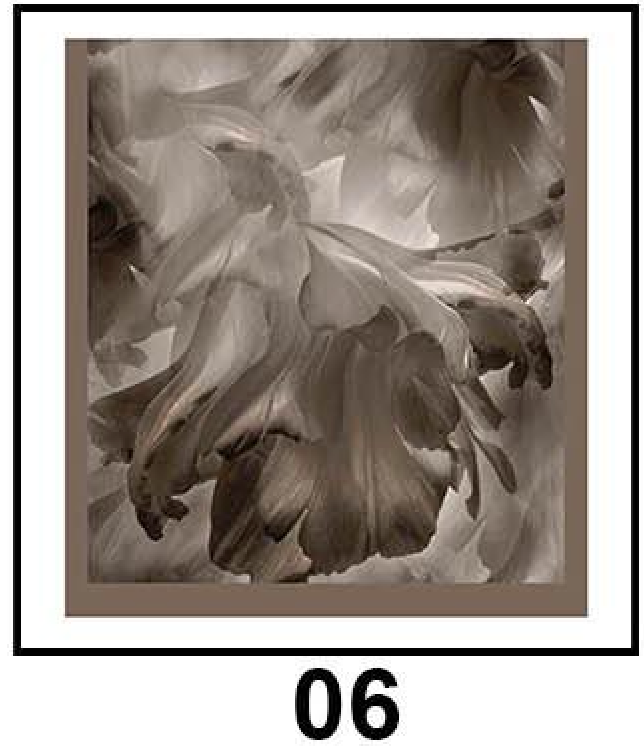 Bamboo Cotton Printed Hijab