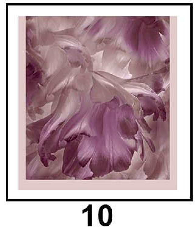 Bamboo Cotton Printed Hijab