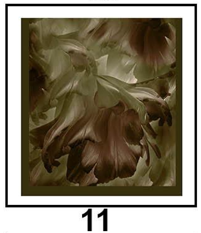 Bamboo Cotton Printed Hijab