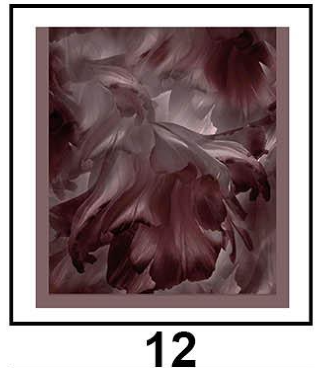 Bamboo Cotton Printed Hijab