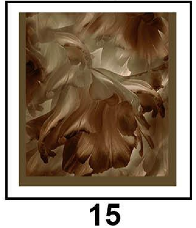 Bamboo Cotton Printed Hijab